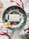 Christmas Paint your own cookies